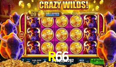 Ofertas Imperdíveis na R66: Promoções e Bônus Que Valem a Pena